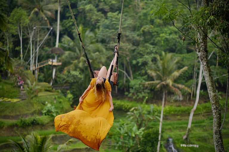 Ubud: Tegalalang Reisterrasse & Swing Ticket Geführte TourTour mit Transfers vom/zum Zentrum Ubuds