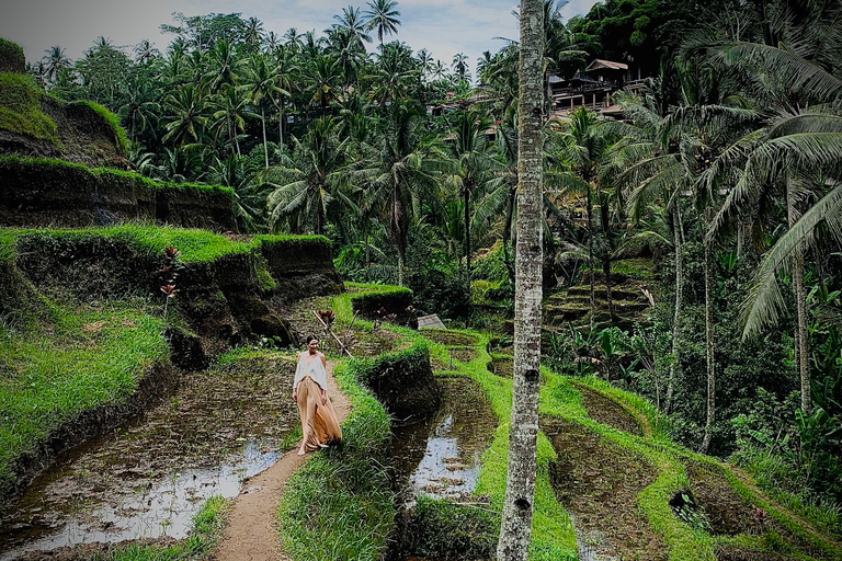 Ubud: Tegalalang Rice Terrace & Swing Ticket Guided Tour Tour with Transfers to/from Central Ubud