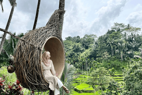 Ubud: Tegalalang Rice Terrace & Swing Ticket Guided Tour Tour with Transfers to/from Central Ubud