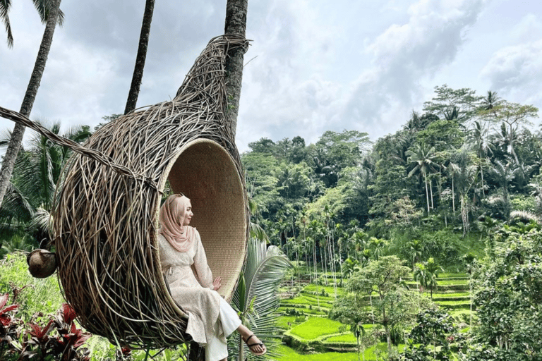 Ubud: Tegalalang Reisterrasse & Swing Ticket Geführte TourTour mit Transfers vom/zum Zentrum Ubuds