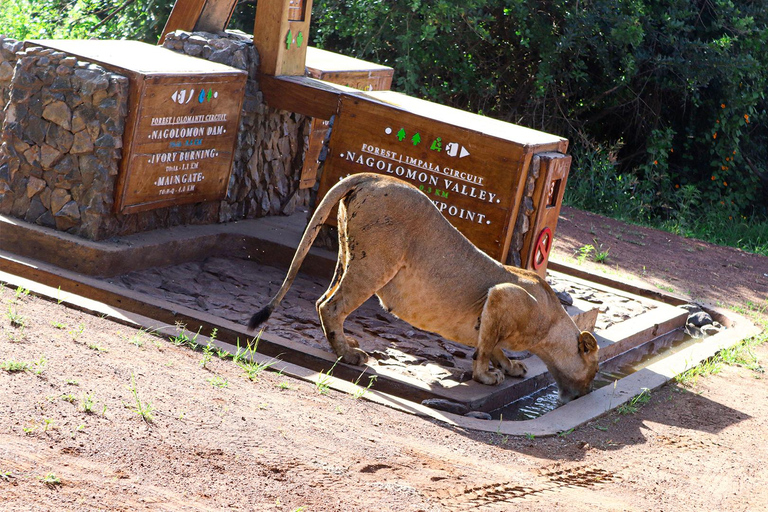 Nairobi National Park: Tour in a 4X4 Van (WiFi Included)Nairobi National Park: Tour in a Safari Van (WiFi Included)