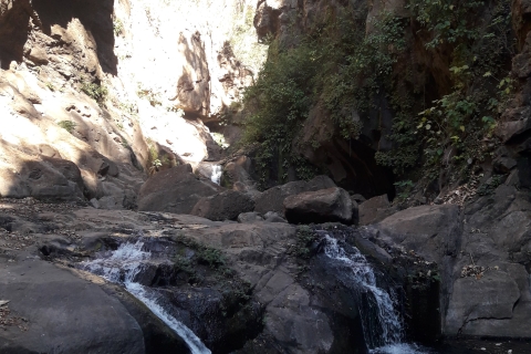 Randonnée dans les cascades de Tamanique et visite de la plage d'El TuncoCircuit des cascades de Tamanique et de la plage d'El Tunco