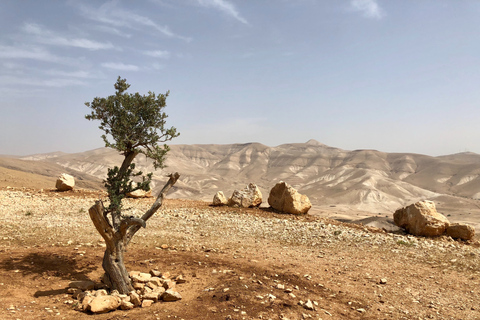 Vanuit Jeruzalem: halve dagtrip naar Jericho en de rivier de JordaanVanuit Jeruzalem: halve dagtour Jericho en Jordaan