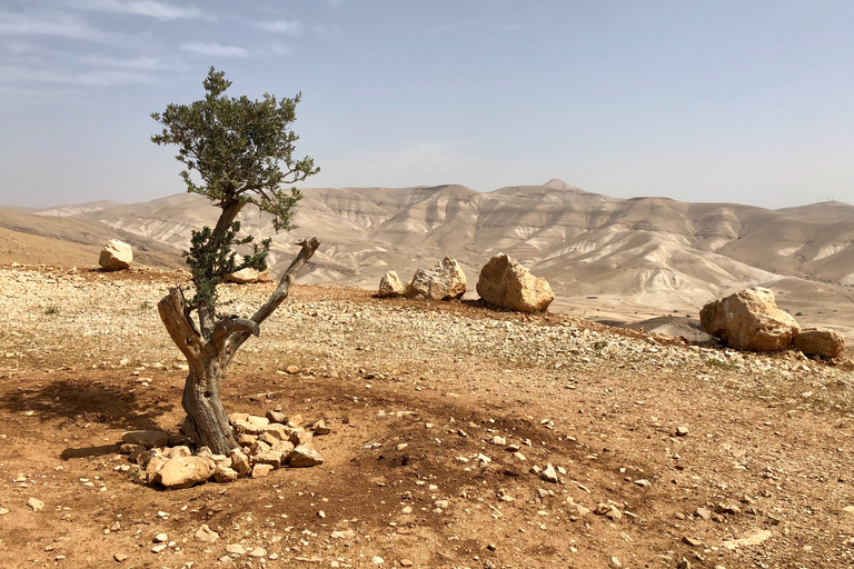 Vanuit Jeruzalem: halve dagtrip naar Jericho en de rivier de JordaanVanuit Jeruzalem: halve dagtour Jericho en Jordaan