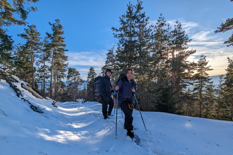Snowshoeing in Kazbegi