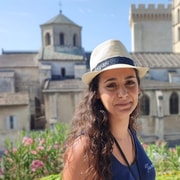 Avignon: Rundgang durch die Stadt mit Eintritt in den Papstpalast