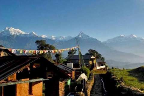 Pokhara: Trek zum Panchase Hill über Pumdikot