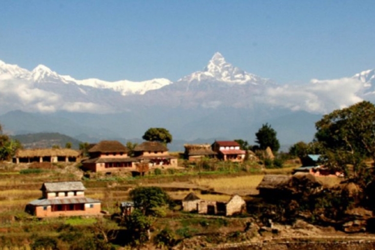 Pokhara: Trek naar Panchase Hill via Pumdikot