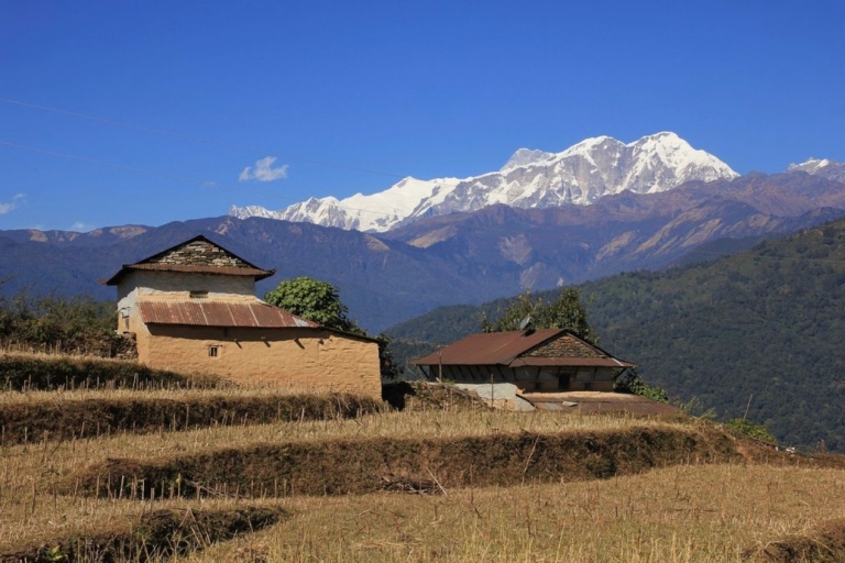 Pokhara: Trekking na wzgórze Panchase przez Pumdikot