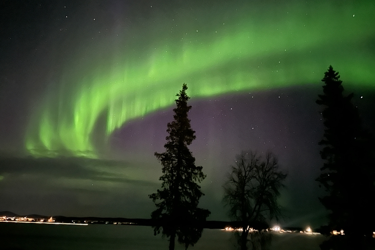 Från Kiruna: Abisko nationalpark norrskenstur