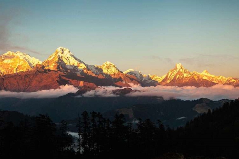 Van Pokhara: 5-daagse Annapurna Basecamp Trek met warmwaterbronnen