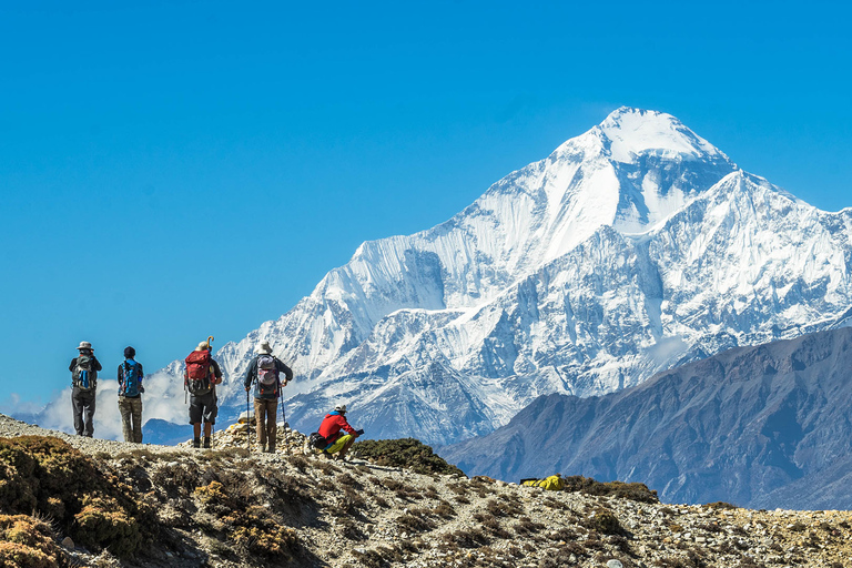 Au départ de Pokhara : Trek de 5 jours au camp de base de l'Annapurna avec sources d'eau chaude