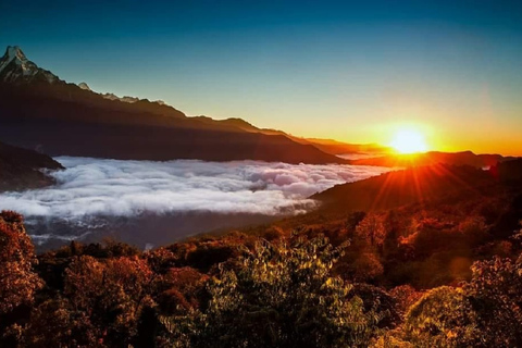 Desde Pokhara: Caminata de 5 días al Campamento Base del Annapurna con aguas termales