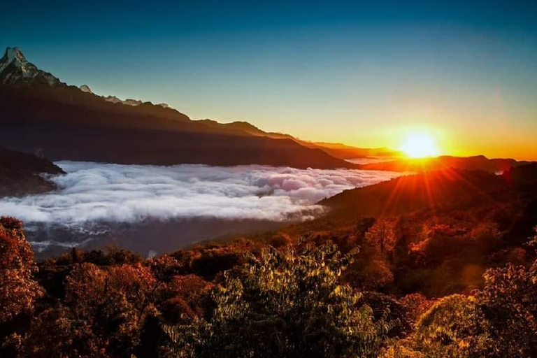 Från Pokhara: 5-dagars Annapurna Basecamp Trek med varma källorPrivat vandringstur med måltider inkluderade