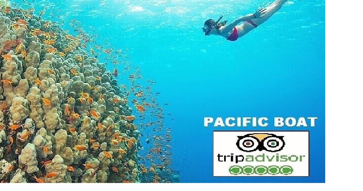 Z Da Nang Snorkeling And Island Hopping Tour łodzią Motorową Getyourguide