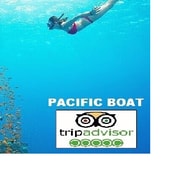 Cham Island: Small Group Snorkeling Trip by Speedboat Cham Island: Small Group Snorkeling Trip by Speedboat