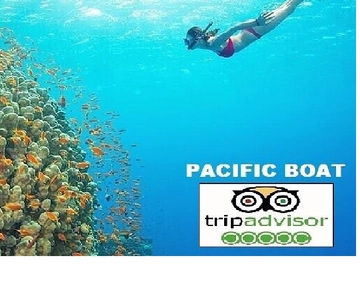 Hoi An/Da Nang: Excursión en lancha rápida con snorkel y de excursión por las islas