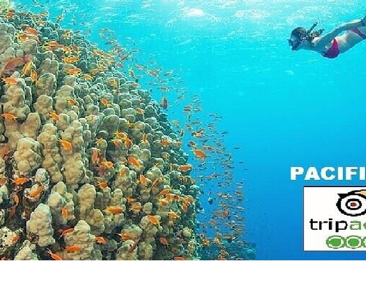 From Da Nang: Snorkeling & Island Hopping Tour by Speedboat