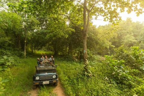 From Delhi: 3-Day Wildlife Trip to Jim Corbett National Park