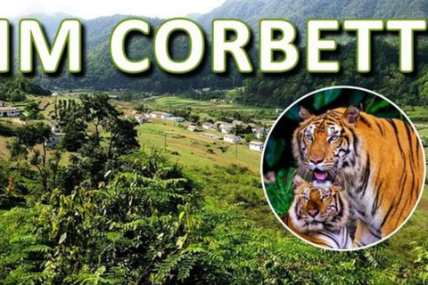 Newdelhi:private 2 nights escape to jim corbett from delhi