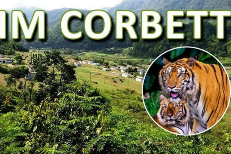 From Delhi: 3-Day Wildlife Trip to Jim Corbett National Park