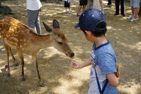 Kyoto und Nara 1 Tag Bustour ab Osaka und KyotoAbreise von Osaka