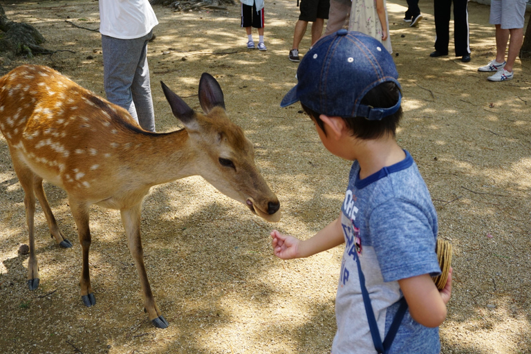 Kyoto und Nara 1 Tag Bustour ab Osaka und KyotoAbreise von Osaka