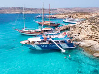 Comino, Blue Lagoon, Crystal Lagoon, and Seacaves Tour - Housity