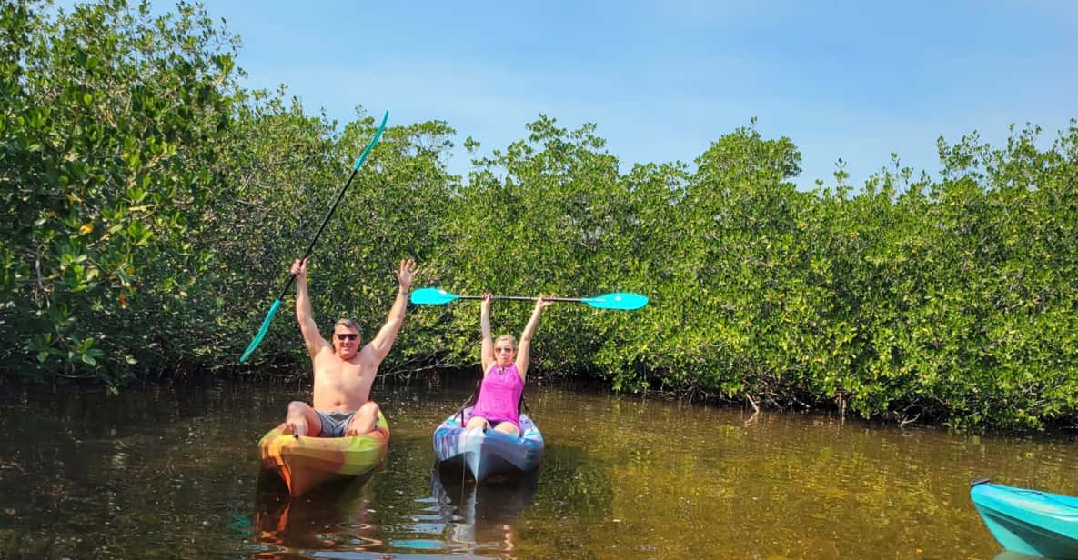 Islamorada Mangroven & Seekühe Geführte KajakÖkoTour GetYourGuide
