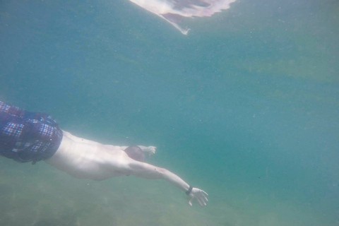 Ilha Grande: Excursión de 6 horas en lancha rápida por las lagunas Azul y Verde