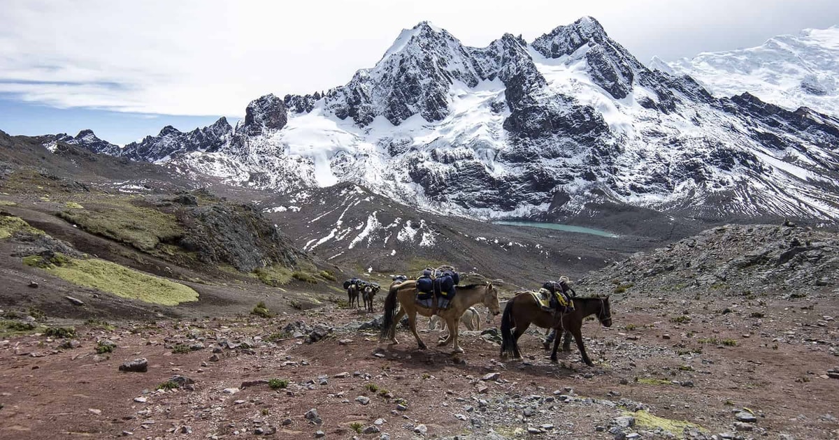 De Cusco: Rota Ausangate - Tour 7 Lagoas + Refeições | GetYourGuide