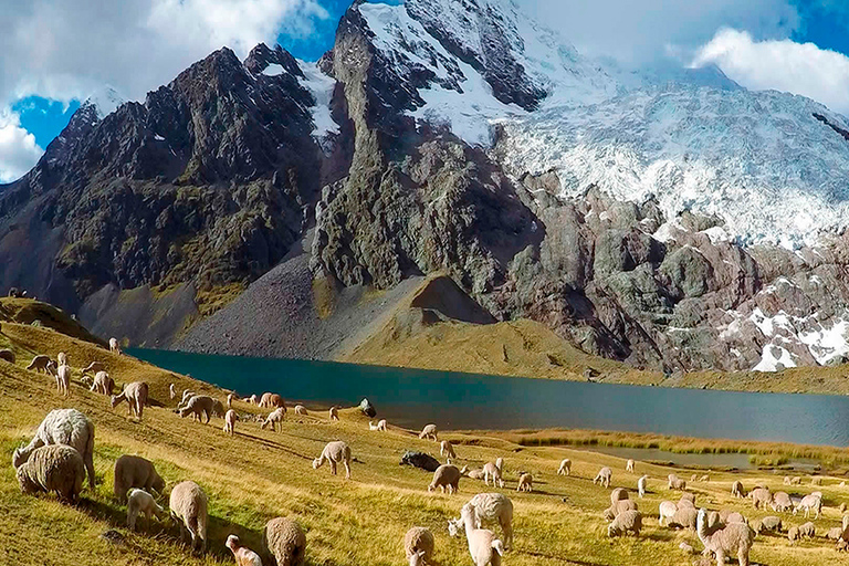 Da Cusco: Percorso Ausangate - Tour delle 7 lagune + PastiPercorso Ausangate - Tour delle 7 lagune + pasti