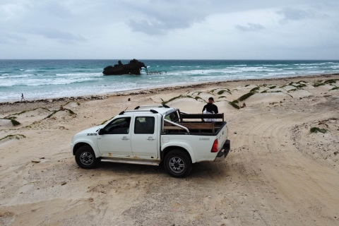 Boa Vista : Excursion d'une journée sur l'île