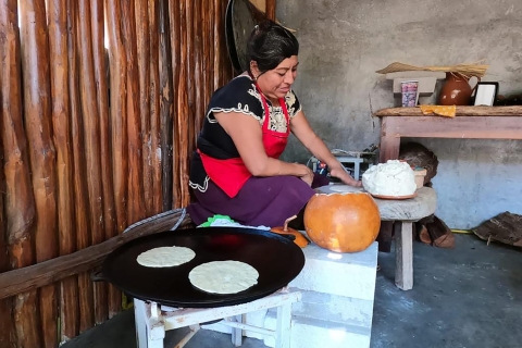 Desde Cancún: Tour guiado de degustación de tacos en Puerto Morelos