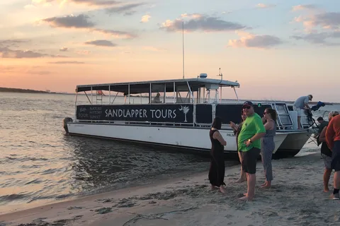 Charleston: Morris Island Nature Boat Tour with Naturalist