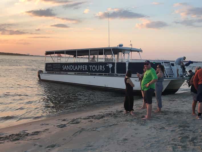 Charleston Morris Island Nature Boat Tour with Naturalist GetYourGuide