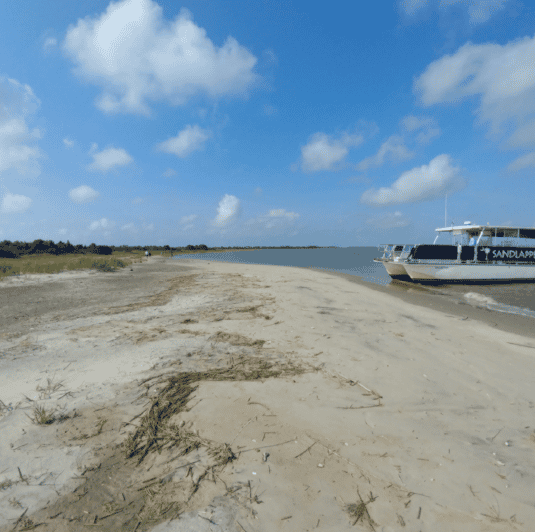 Charleston: Morris Island Nature Boat Tour with Naturalist | GetYourGuide