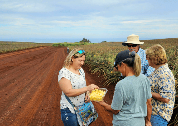 Oahu Island The North Shore Dole Pineapple Farm Tour GetYourGuide