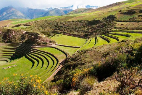Van Cusco: Salineras de Maras en Moray medio dia.