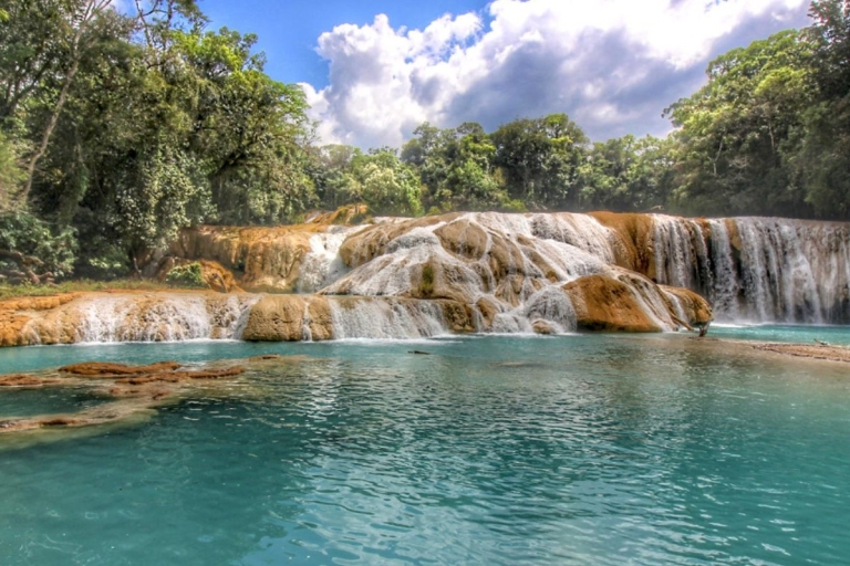 San Cristóbal: Agua Azul, Misol Ha & Palenque Experience Pick up & Drop off in San Cristóbal