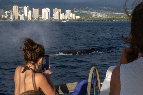 Crucero privado en catamarán con tu propio capitán y tripulación