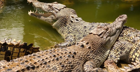 Riambel: South Tour w/ Crocodile Park & Seven Colored Earth