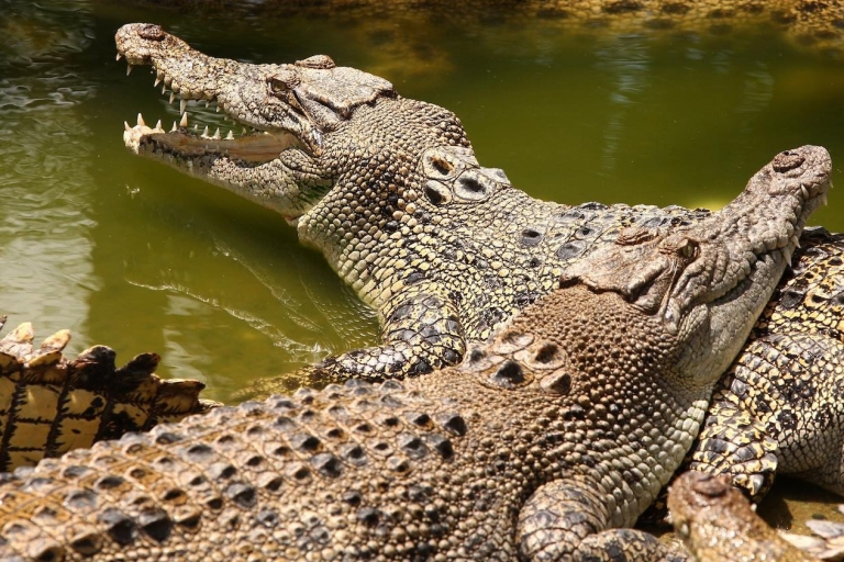 Private Südtour mit Krokodilpark & Siebenfarbige Erde