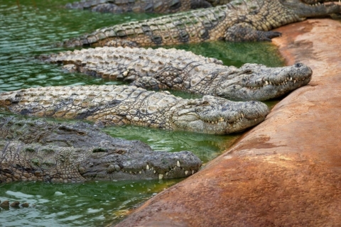 Privé zuidelijke tour met krokodillenpark & zevenkleurige aarde