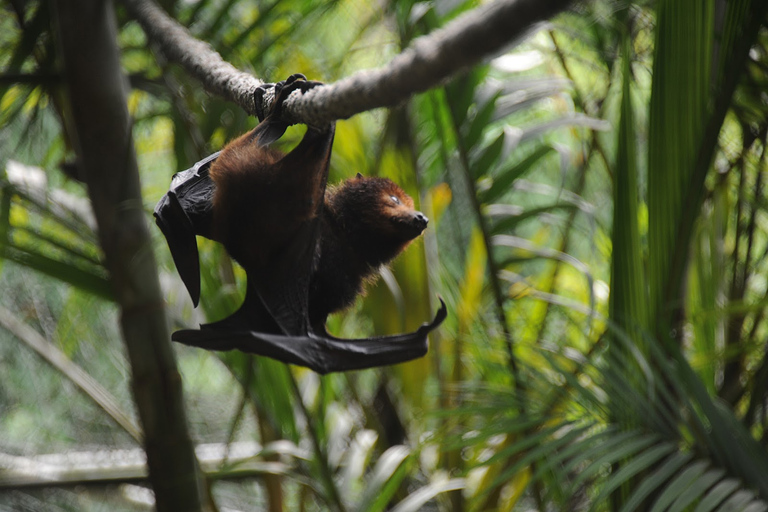 Tour privado del Sur con el Parque de los Cocodrilos y la Tierra de los Siete Colores