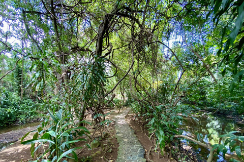 Tour privado del Sur con el Parque de los Cocodrilos y la Tierra de los Siete Colores