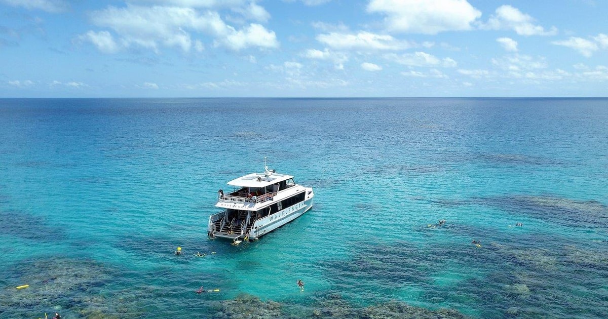 Port Douglas Outer Great Barrier Reef Snorkeling Cruise GetYourGuide