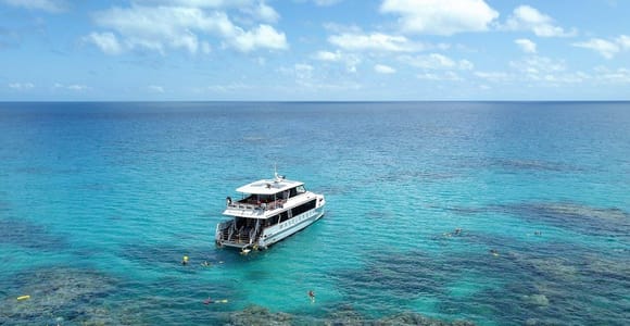 Port Douglas: Outer Great Barrier Reef Snorkeling Cruise