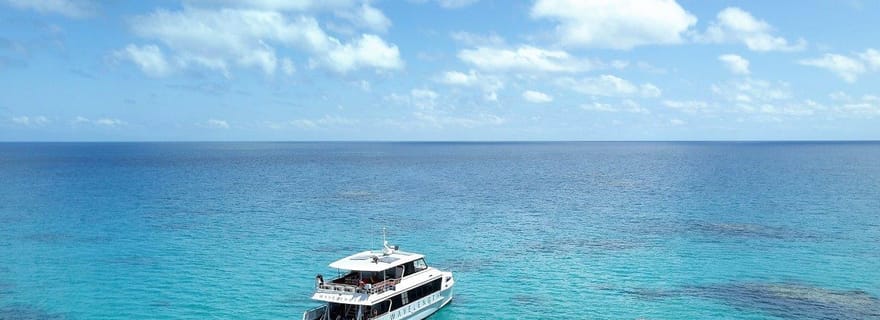 Port Douglas : Croisière de plongée en apnée sur la Grande Barrière de Corail extérieure