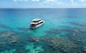 Port Douglas: Outer Great Barrier Reef Snorkeling Cruise